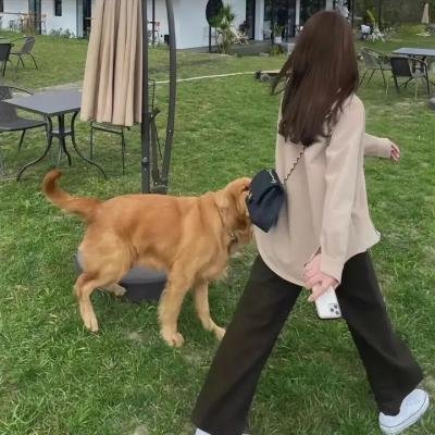 残酷的意图